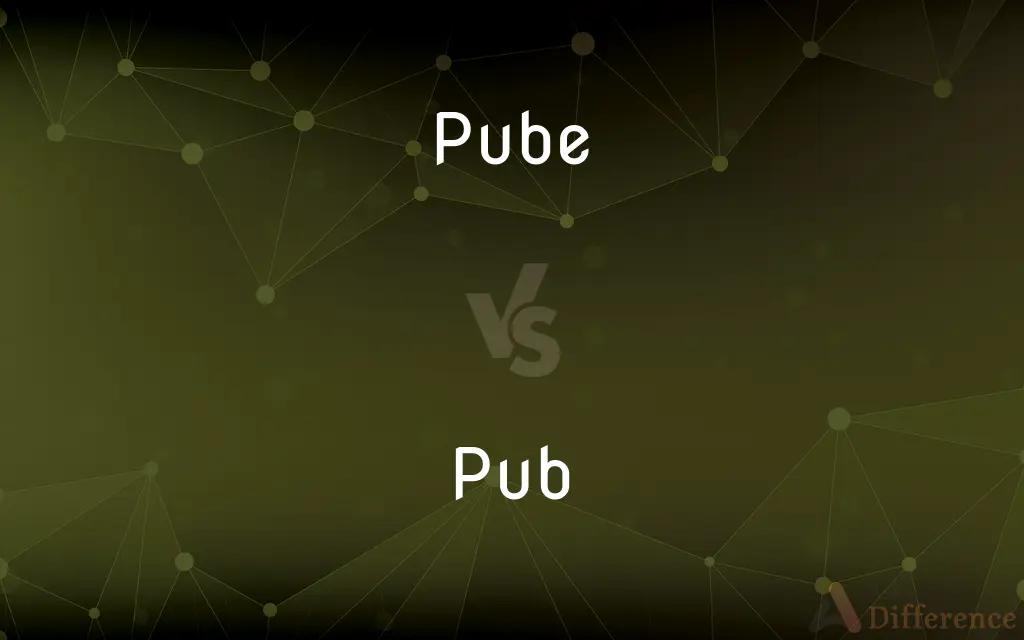 Pube vs. Pub — What's the Difference?