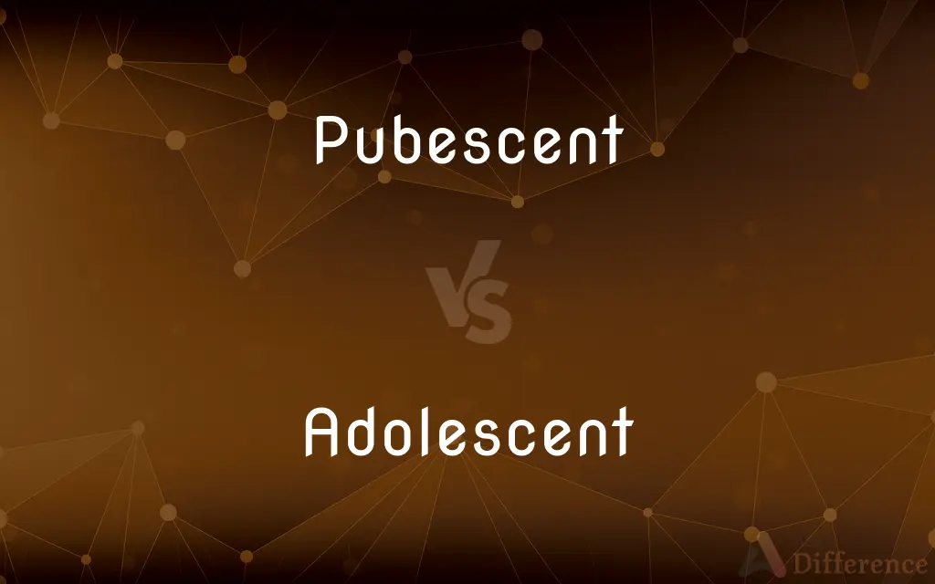 Pubescent vs. Adolescent — What's the Difference?