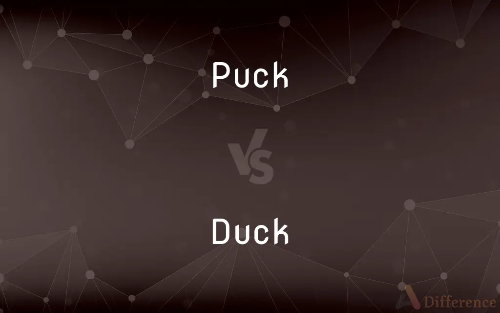 Puck vs. Duck — What's the Difference?
