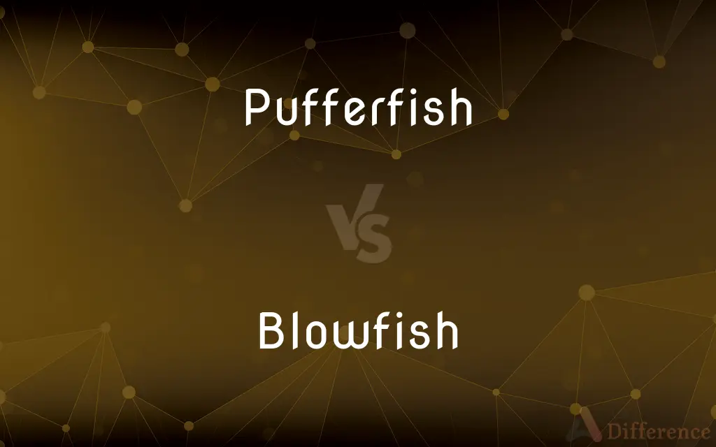 Pufferfish vs. Blowfish — What's the Difference?