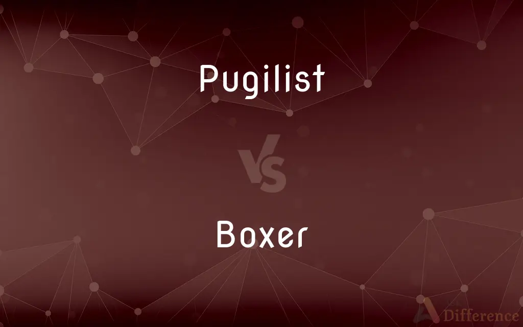 Pugilist vs. Boxer — What's the Difference?