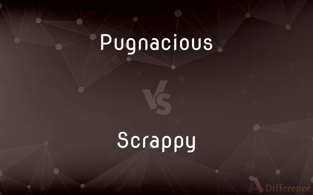 Pugnacious vs. Scrappy — What's the Difference?
