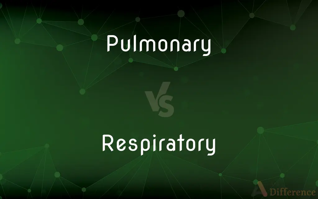 Pulmonary vs. Respiratory — What's the Difference?