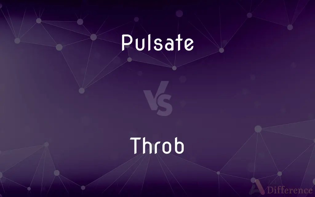 Pulsate vs. Throb — What's the Difference?