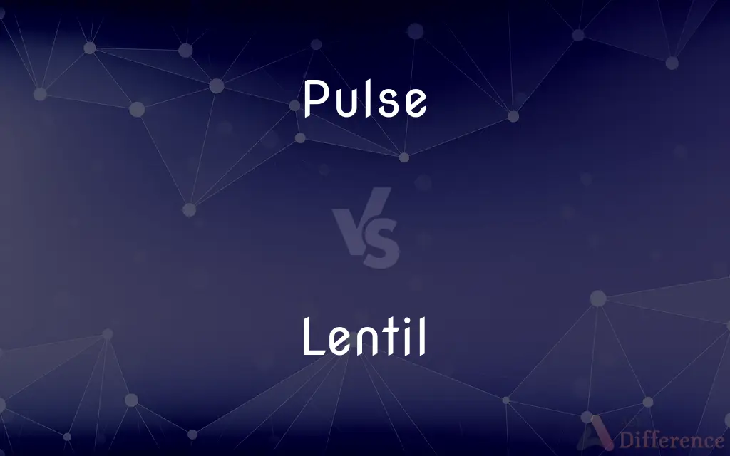 Pulse vs. Lentil — What's the Difference?
