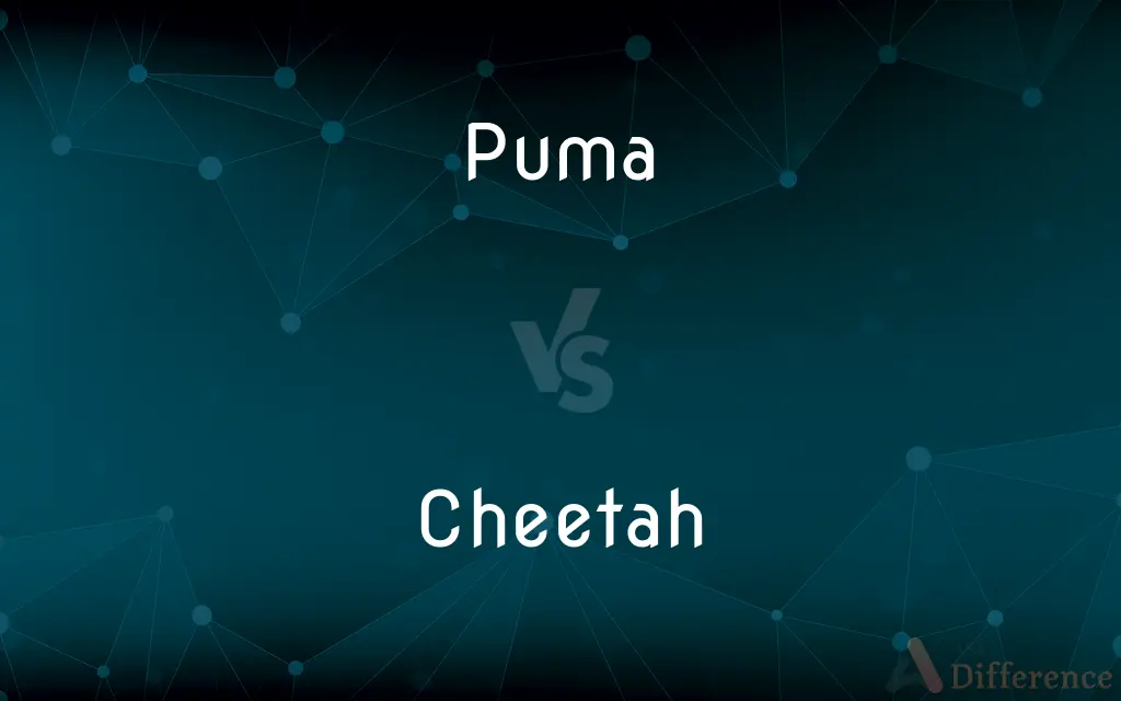 Puma vs. Cheetah — What's the Difference?