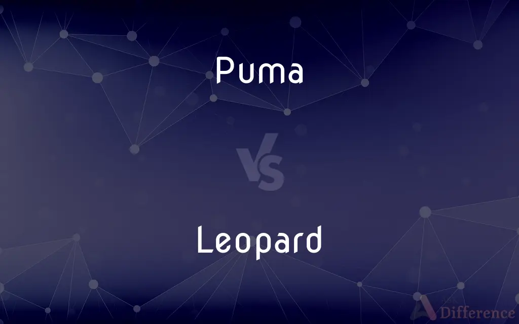 Puma vs. Leopard — What's the Difference?