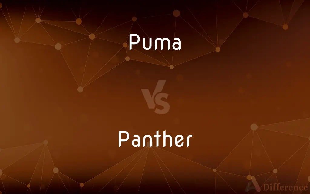 Puma vs. Panther — What's the Difference?