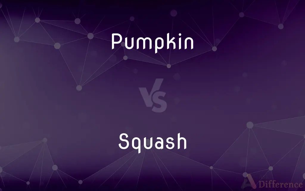 Pumpkin vs. Squash — What's the Difference?