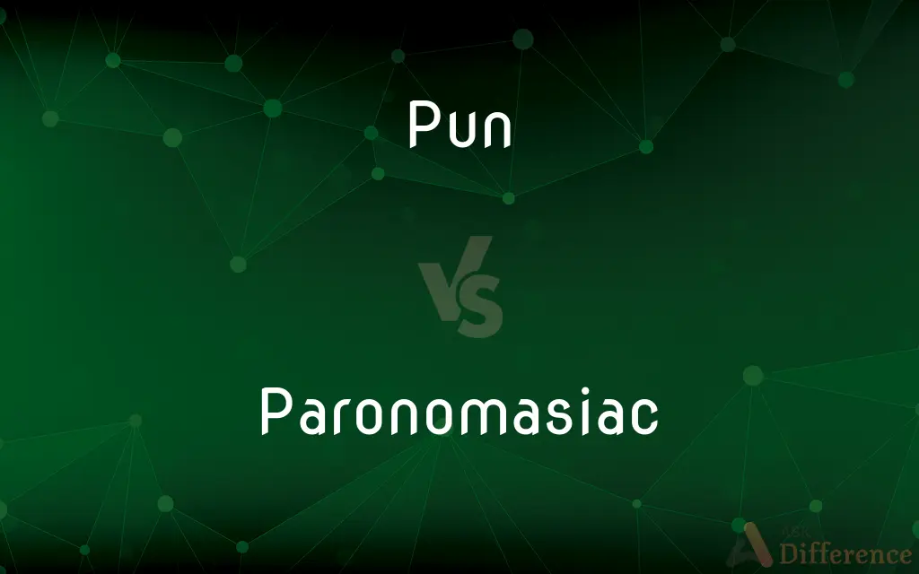 Pun vs. Paronomasiac — What's the Difference?