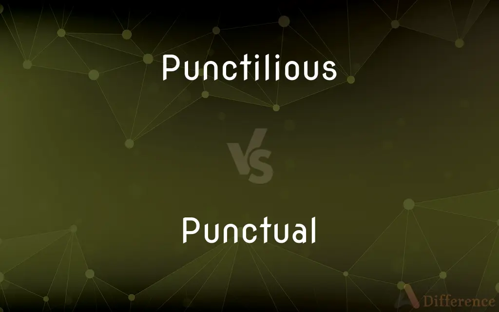 Punctilious vs. Punctual — What's the Difference?