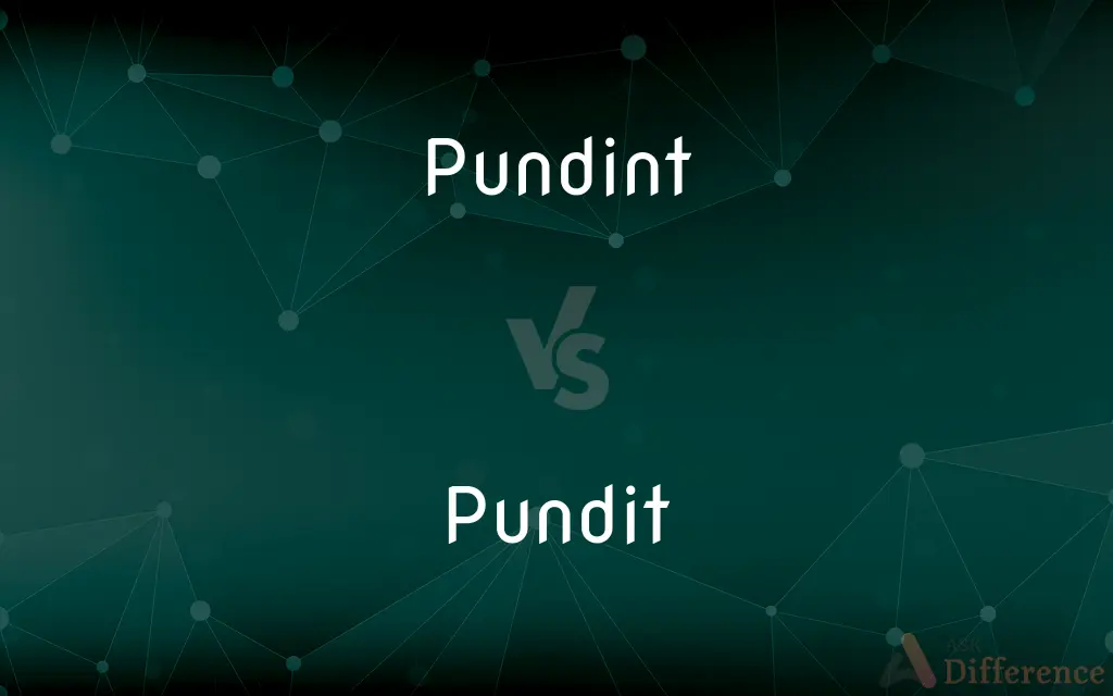 Pundint vs. Pundit — Which is Correct Spelling?