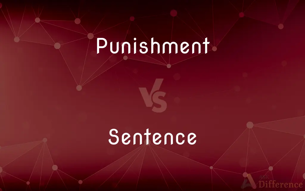 Punishment vs. Sentence — What's the Difference?