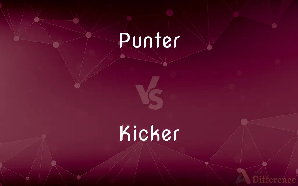 Punter vs. Kicker — What's the Difference?