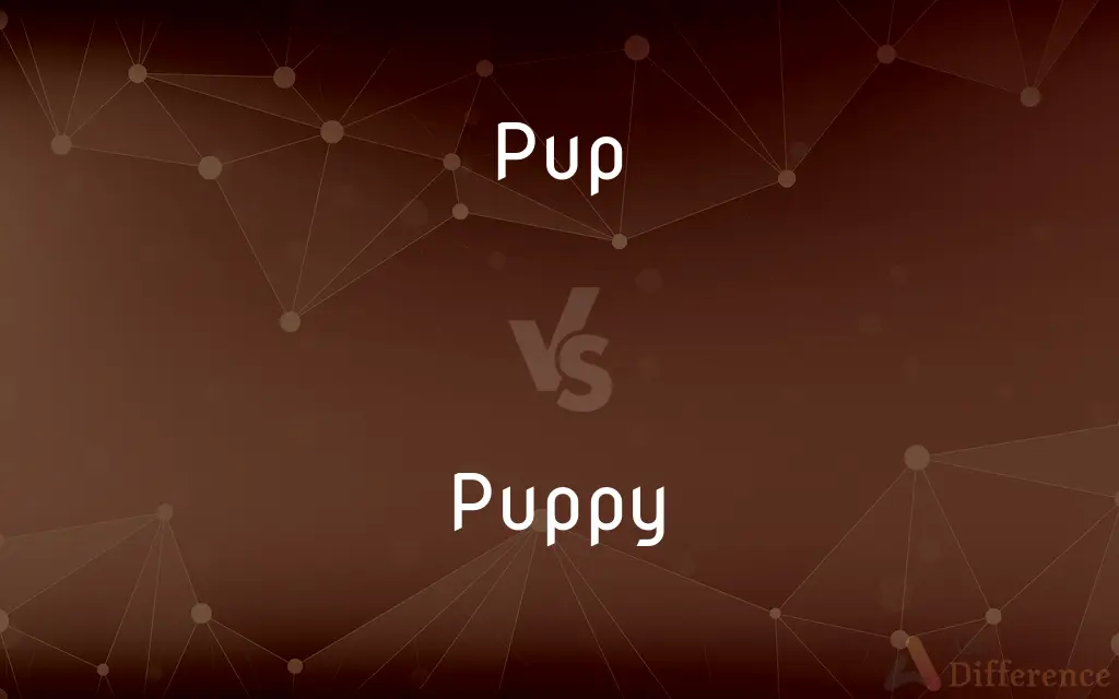 Pup vs. Puppy — What's the Difference?