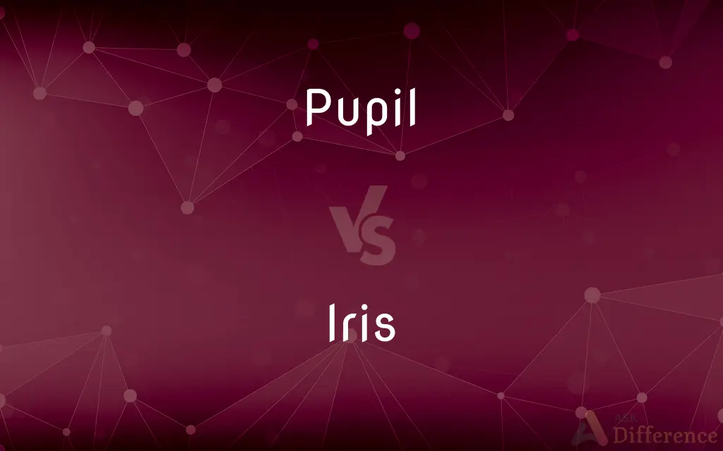 Pupil vs. Iris — What's the Difference?