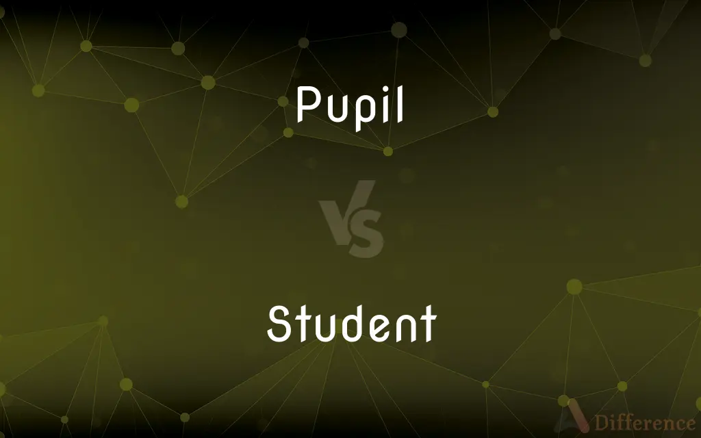 Pupil vs. Student — What's the Difference?