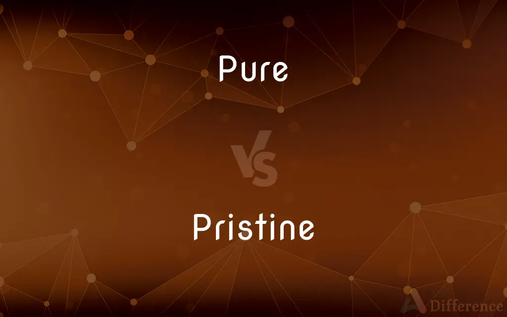 Pure vs. Pristine — What's the Difference?