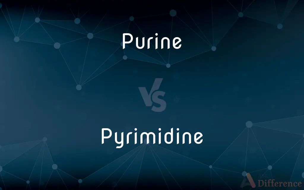 Purine vs. Pyrimidine — What's the Difference?