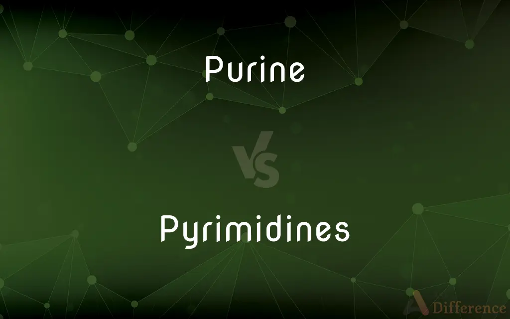 Purine vs. Pyrimidines — What's the Difference?