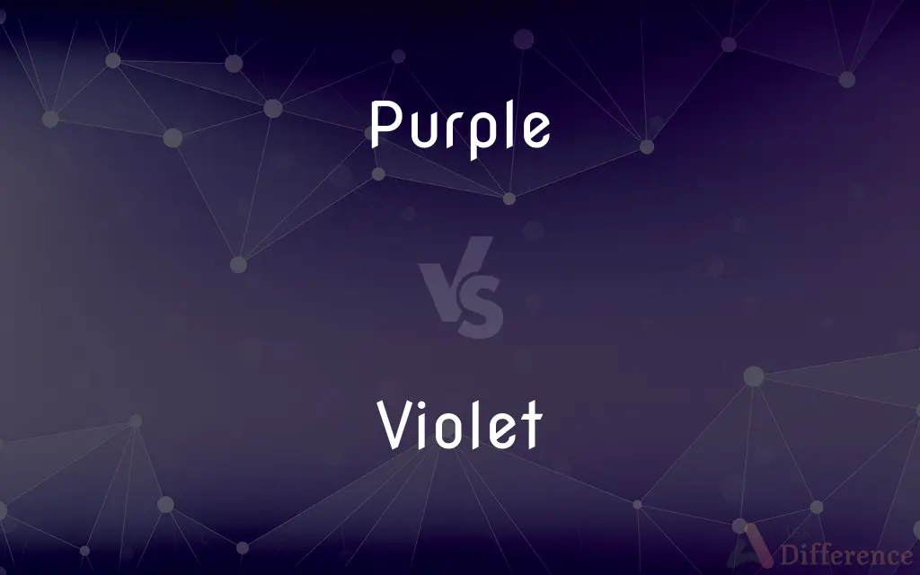 Purple vs. Violet — What's the Difference?