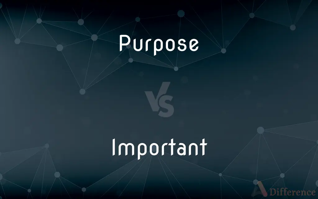 Purpose vs. Important — What's the Difference?