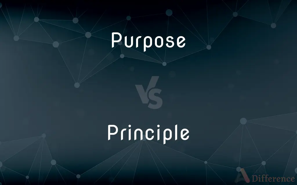 Purpose vs. Principle — What's the Difference?