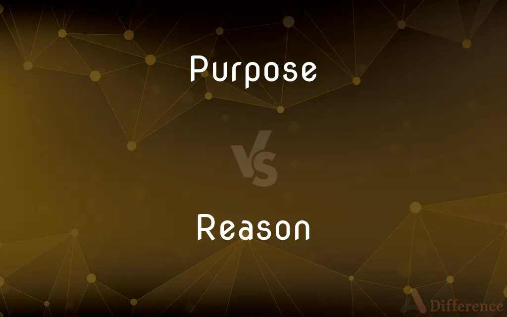 Purpose vs. Reason — What's the Difference?