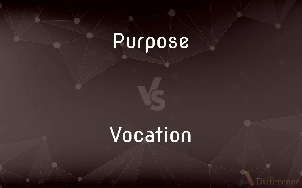 Purpose vs. Vocation — What's the Difference?