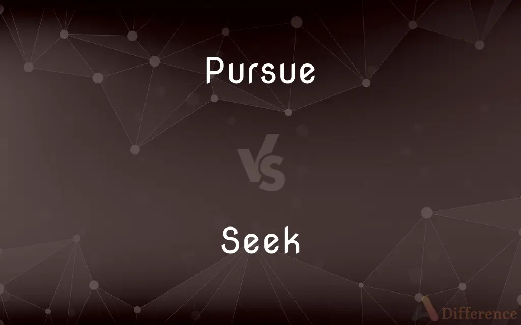 Pursue vs. Seek — What's the Difference?