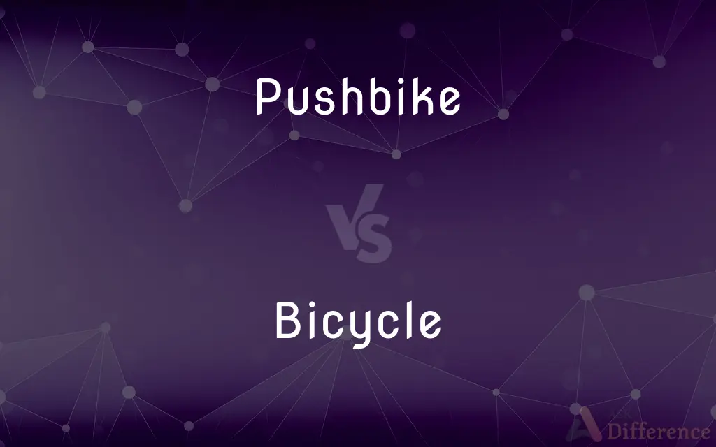 Pushbike vs. Bicycle — What's the Difference?