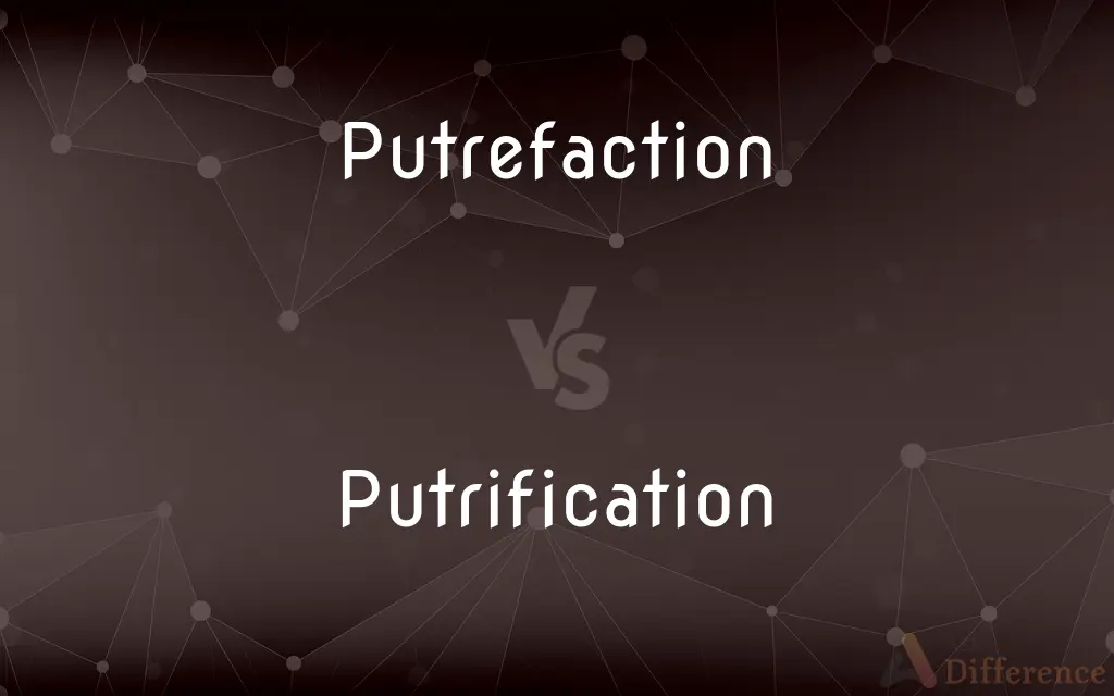 Putrefaction vs. Putrification — What's the Difference?