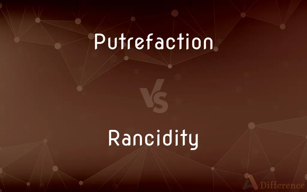 Putrefaction vs. Rancidity — What's the Difference?