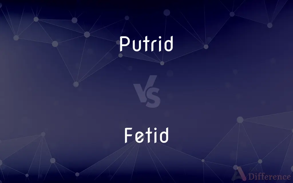 Putrid vs. Fetid — What's the Difference?