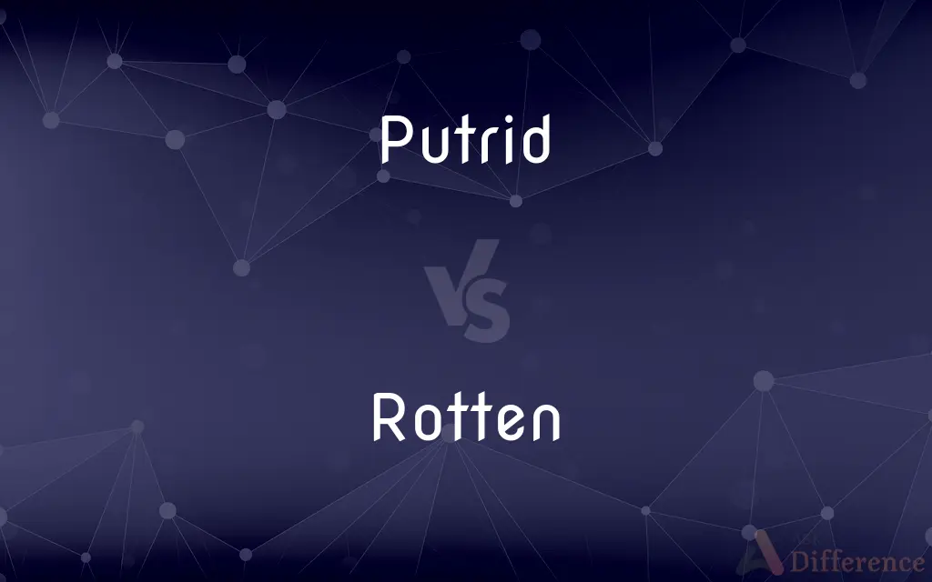 Putrid vs. Rotten — What's the Difference?