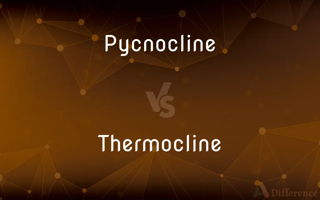 Pycnocline vs. Thermocline — What's the Difference?