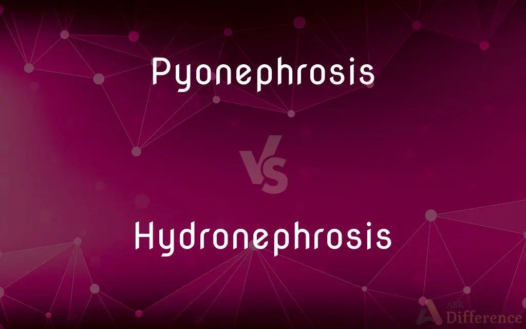 Pyonephrosis vs. Hydronephrosis — What's the Difference?