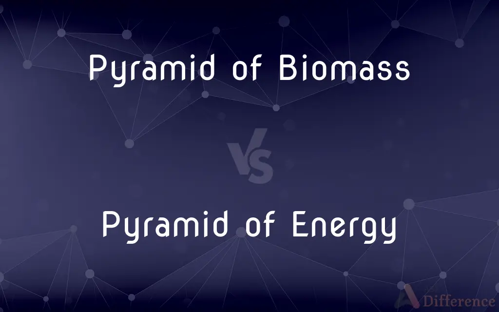 Pyramid of Biomass vs. Pyramid of Energy — What's the Difference?