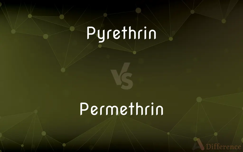 Pyrethrin vs. Permethrin — What's the Difference?