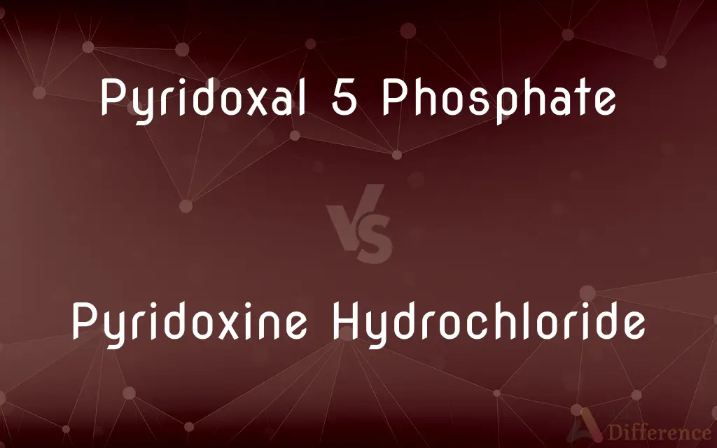 Pyridoxal 5 Phosphate vs. Pyridoxine Hydrochloride — What's the Difference?