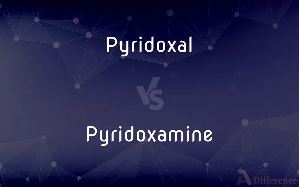 Pyridoxal vs. Pyridoxamine — What's the Difference?
