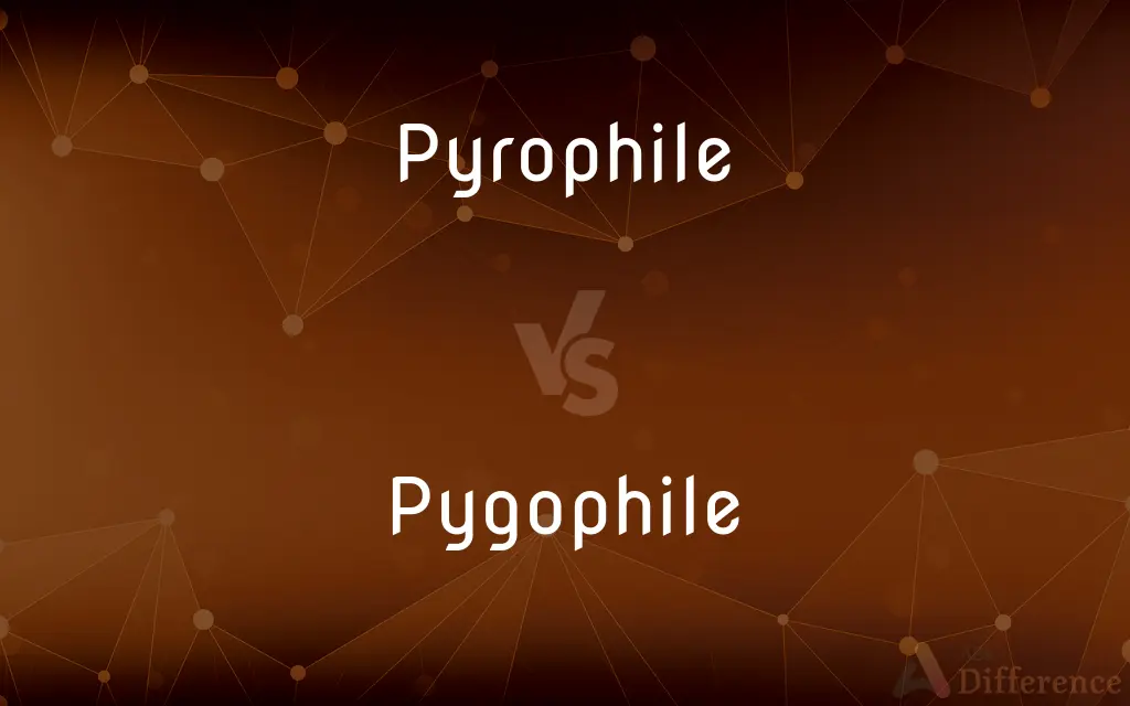 Pyrophile vs. Pygophile — What's the Difference?