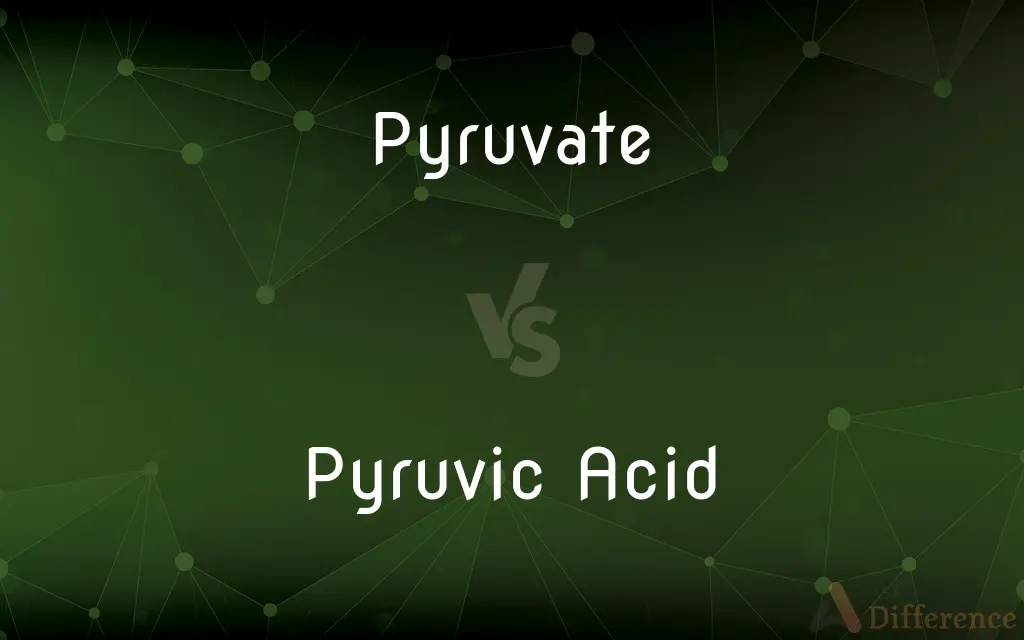 Pyruvate vs. Pyruvic Acid — What's the Difference?