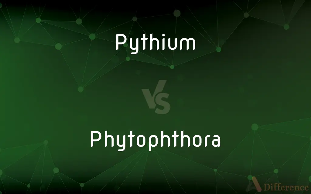 Pythium vs. Phytophthora — What's the Difference?