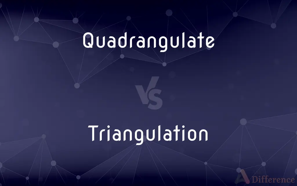Quadrangulate vs. Triangulation — What's the Difference?