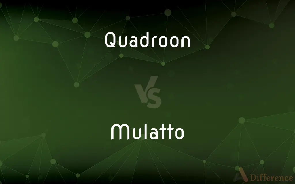 Quadroon vs. Mulatto — What's the Difference?