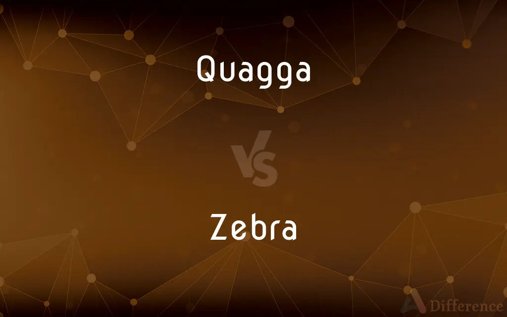 Quagga vs. Zebra — What's the Difference?