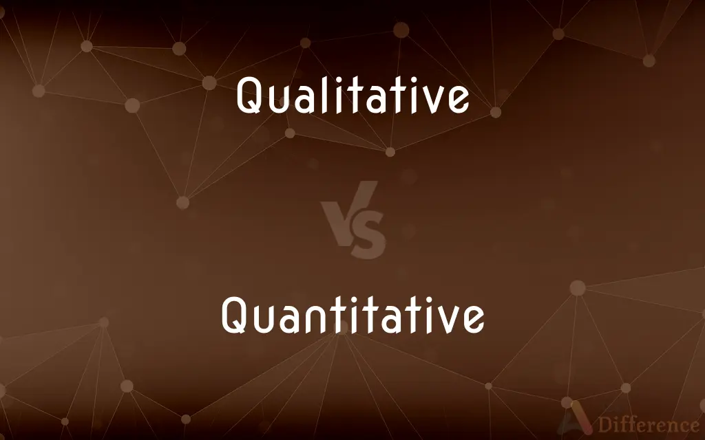 Qualitative vs. Quantitative — What's the Difference?