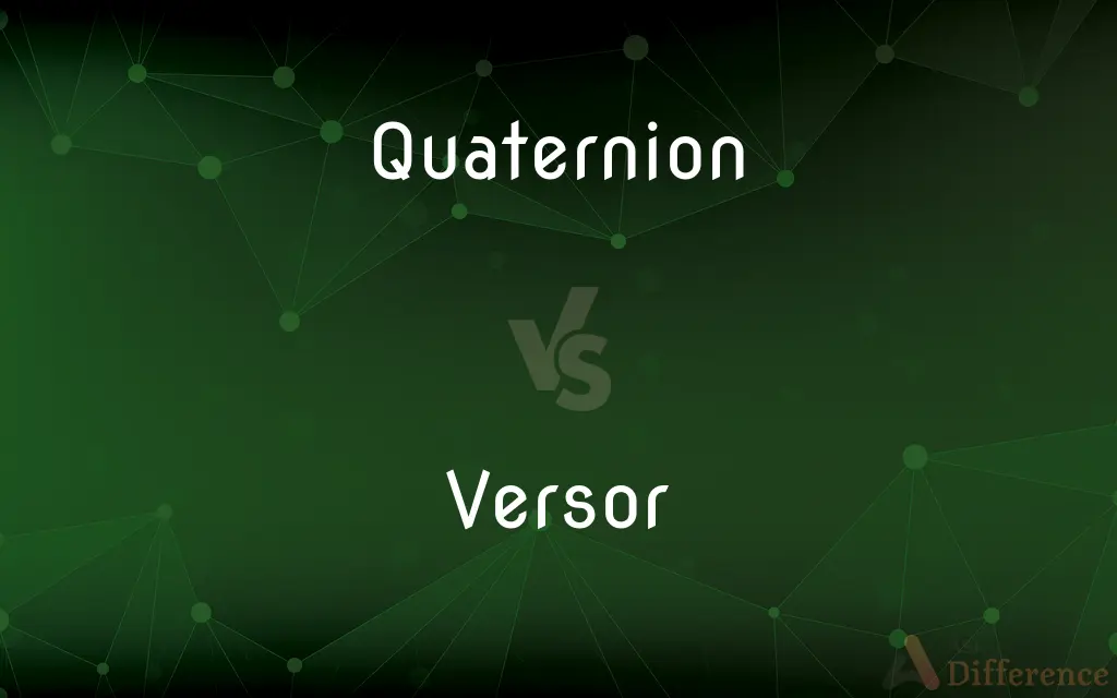 Quaternion vs. Versor — What's the Difference?