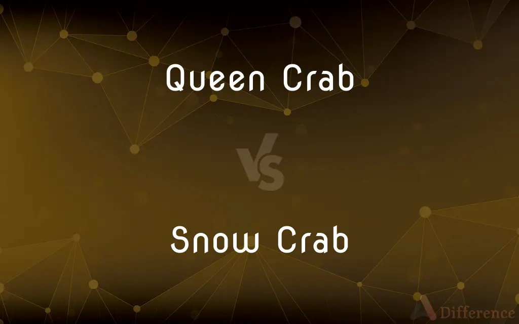 Queen Crab vs. Snow Crab — What's the Difference?